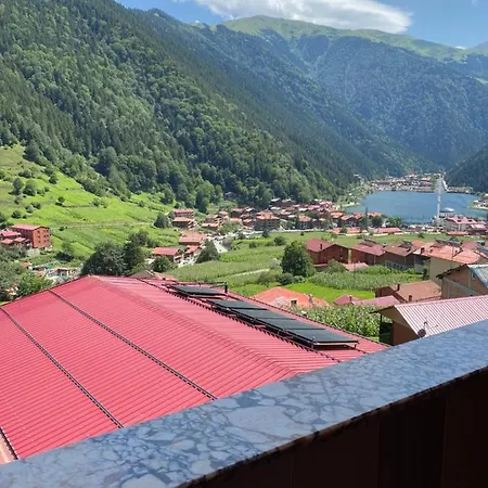 Dilek Aparthotel *